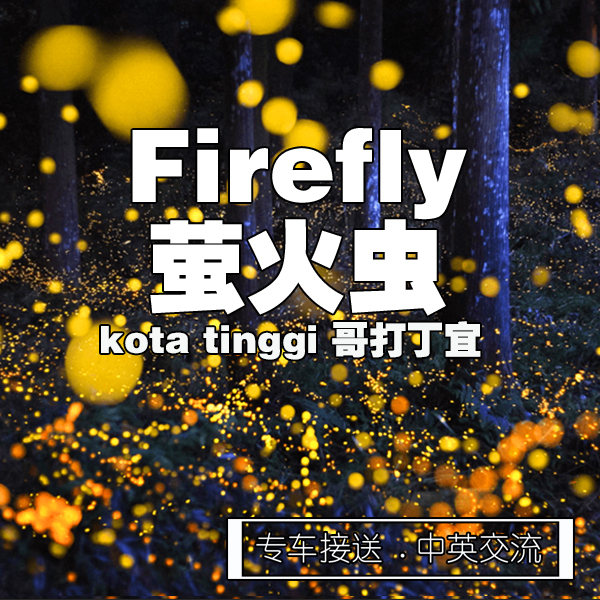 Johor Bahru Area to Kota Tinggi (Firefly 5 hour) / 新山市区 到 哥打丁宜 (萤火虫 5小时)