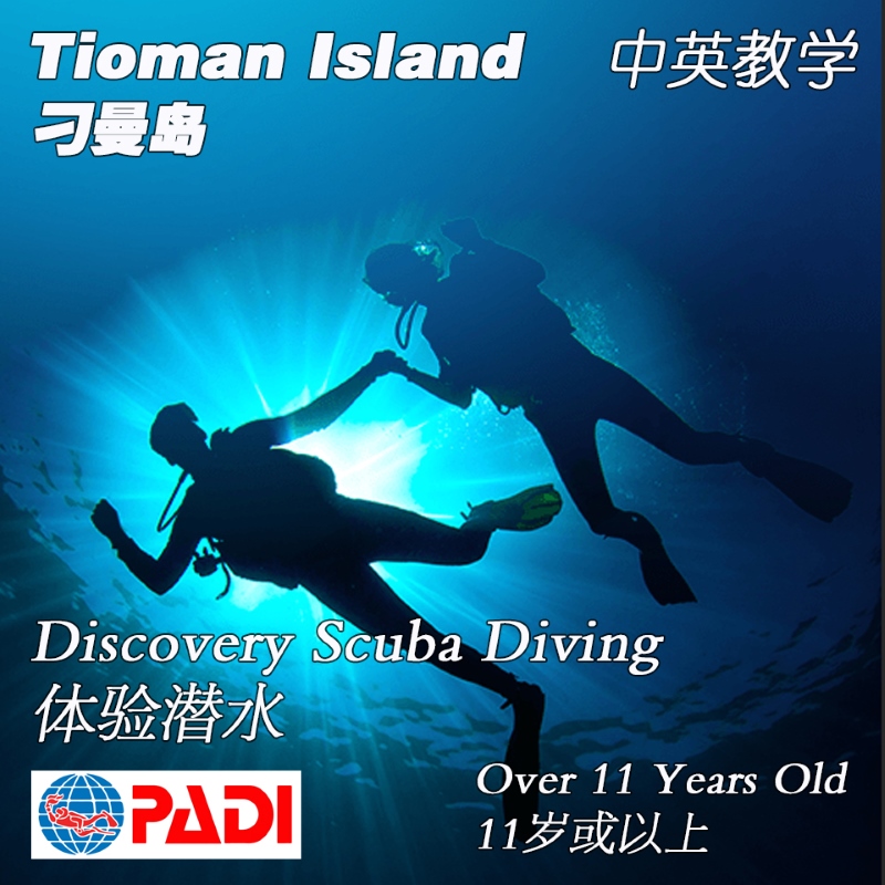 Discovery Scuba Diving 体验潜水