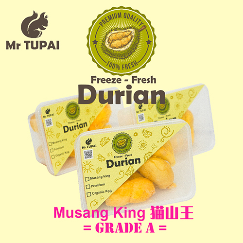 Musang king