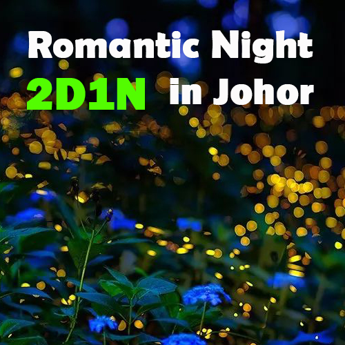 Romantic Night in Johor