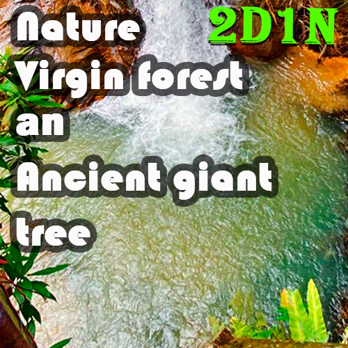 2D1N Nature Virgin forest an Ancient giant tree